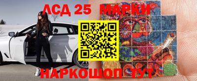 шишки Будённовск