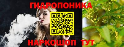 шишки Будённовск