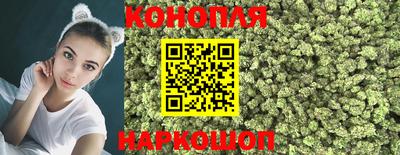 гашик Бугуруслан