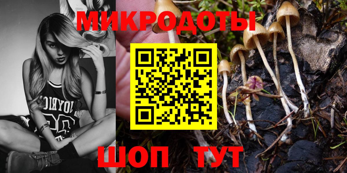 Павлово  где можно купить наркотик  Вход с VPN  Галлюциногенные грибы GOLDEN TEACHER 